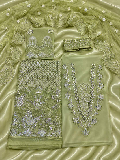 Luxury Organza Handwork Suit – pista colour