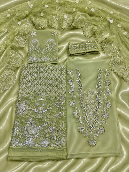 Luxury Organza Handwork Suit – pista colour